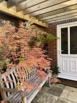 Photo 19- click for photo gallery